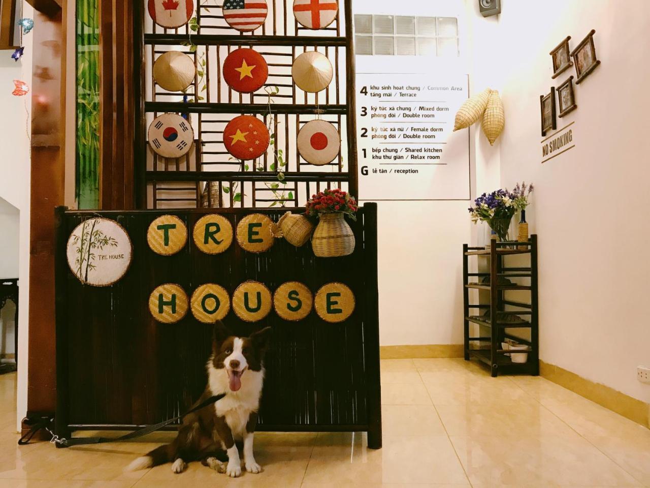 Tre House Homestay Ханой Экстерьер фото